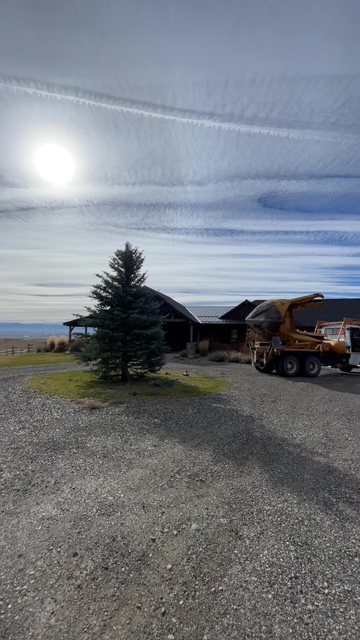 Completed tree installation at Montana ranch home