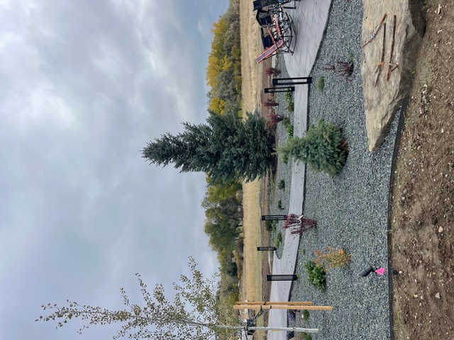 Far West Tree Company tree transplanting operation in Montana