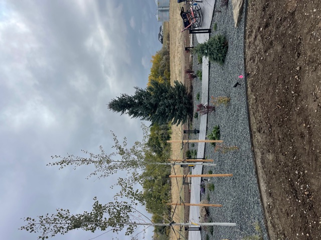Large tree spade equipment on road in Montana